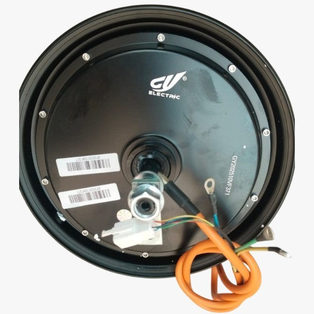 Model 2: 10 Inches 1000 Watt Drum Motors - BEM / CY Quality