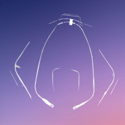 Vespa Model - Safety Guard - Full Set