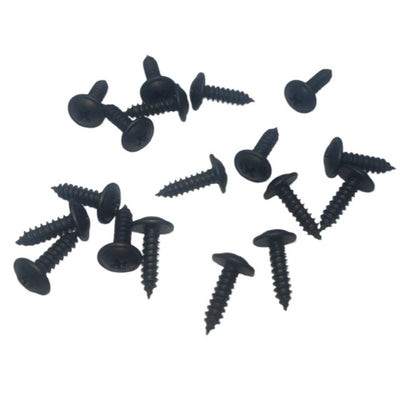 Small Black Screw